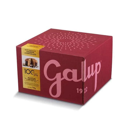 Galup Panettone With Chocolate Drops and Candied Black Cherries (750g) | {{ collection.title }}