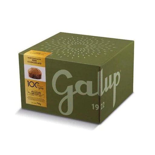Galup Panettone With Chocolate Drops and Candied Pear With Hazelnut Frosting (750g) | {{ collection.title }}