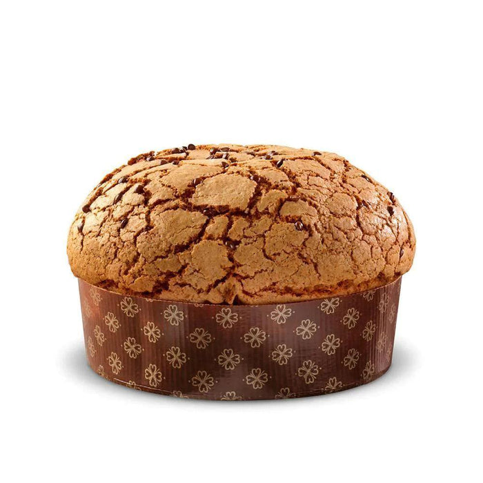 Galup Panettone with Chocolate Drops and Hazelnut Frosting (750g) | {{ collection.title }}