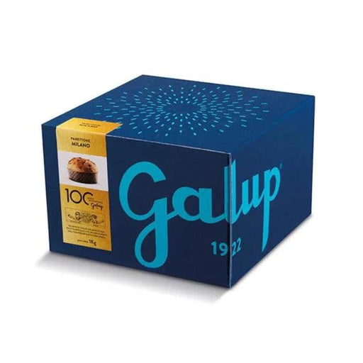 Galup Panettone With Raisins and Candied Citrus Fruit With No Frosting (750g) | {{ collection.title }}