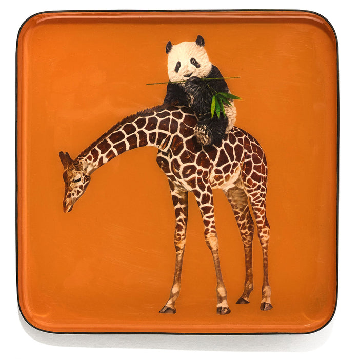 Gangzai Design Bandipanda Square Trinket Tray