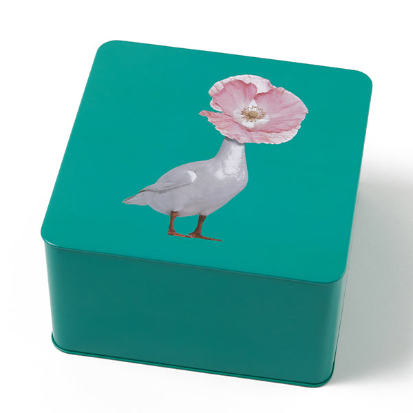 Gangzai Design Diva Square Tin Box