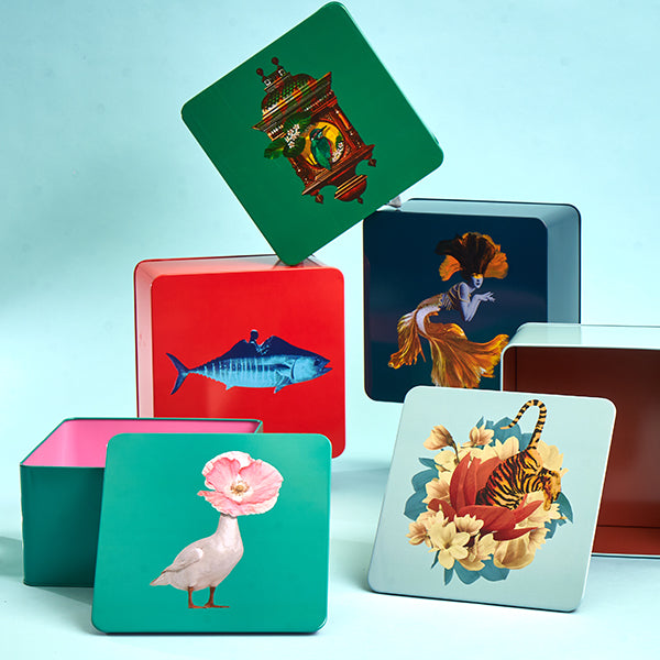 Gangzai Design Diva Square Tin Box