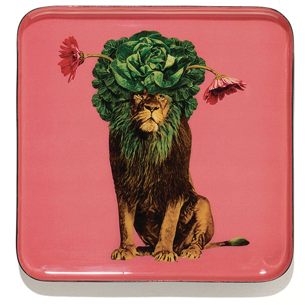 Gangzai Design Leo Square Trinket Tray