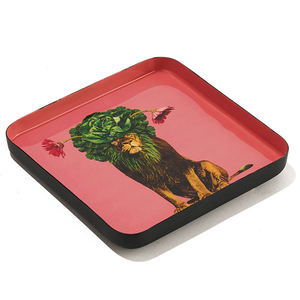 Gangzai Design Leo Square Trinket Tray