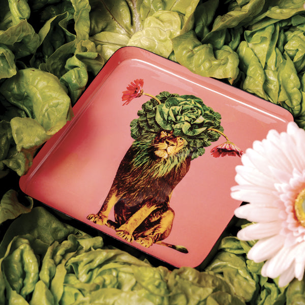 Gangzai Design Leo Square Trinket Tray