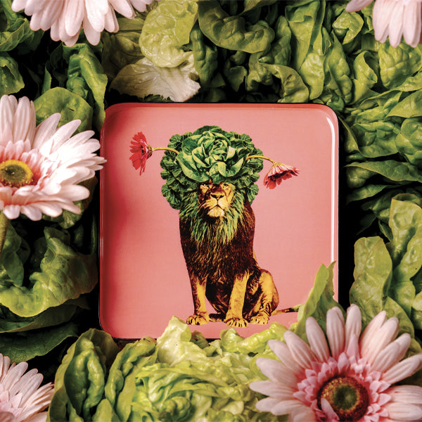 Gangzai Design Leo Square Trinket Tray