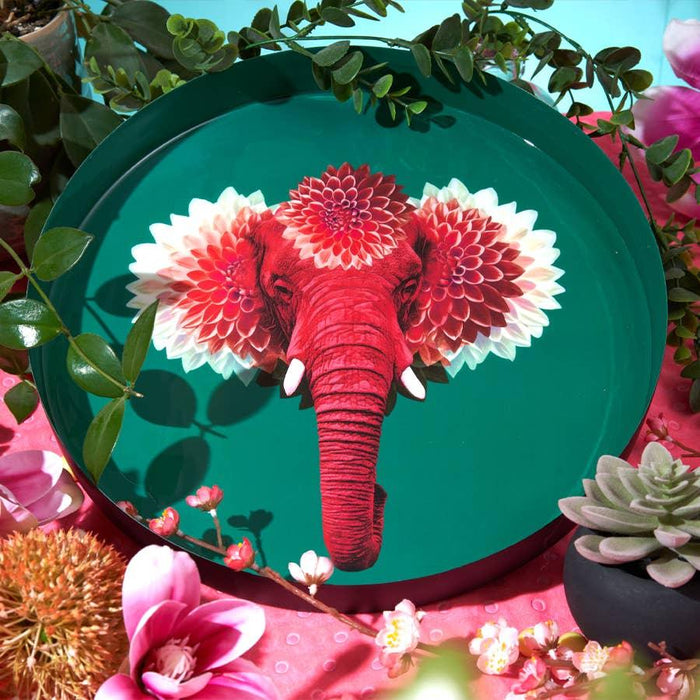 Gangzai Design Pachiiii Round Tray (33cm) - LemonSalt