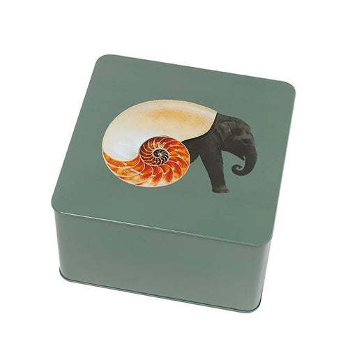 Gangzai Design Shellephant Square Metal Box - LemonSalt