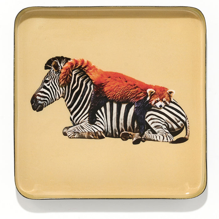Gangzai Design Siesta Square Trinket Tray
