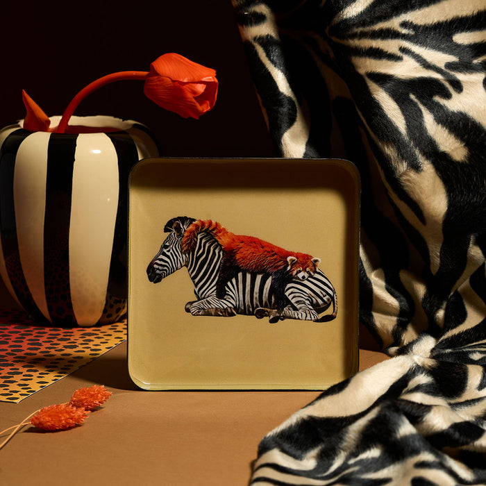 Gangzai Design Siesta Square Trinket Tray