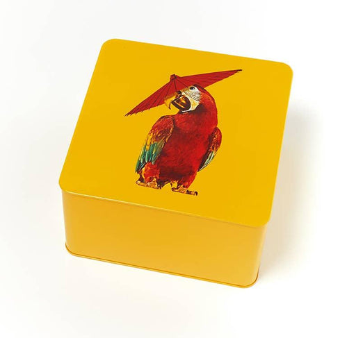 Gangzai Design Square Metal Box Arapluie - LemonSalt