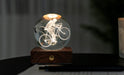 Gingko Amber Crystal Light - Cyclist - LemonSalt
