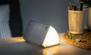 Gingko Mini Smart Book Light - Urban Grey
