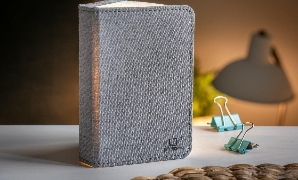 Gingko Mini Smart Book Light - Urban Grey