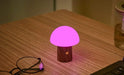 Gingko Super Mini Alice Mushroom Lamp - Walnut - LemonSalt