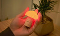 gingko-super-mini-alice-mushroom-lamp-white-ash-lemonsalt-19905
