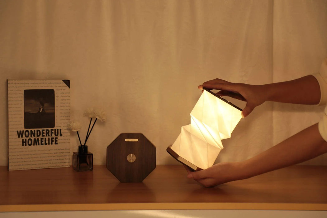 Gingko Twist Hexagon Lamp - Black