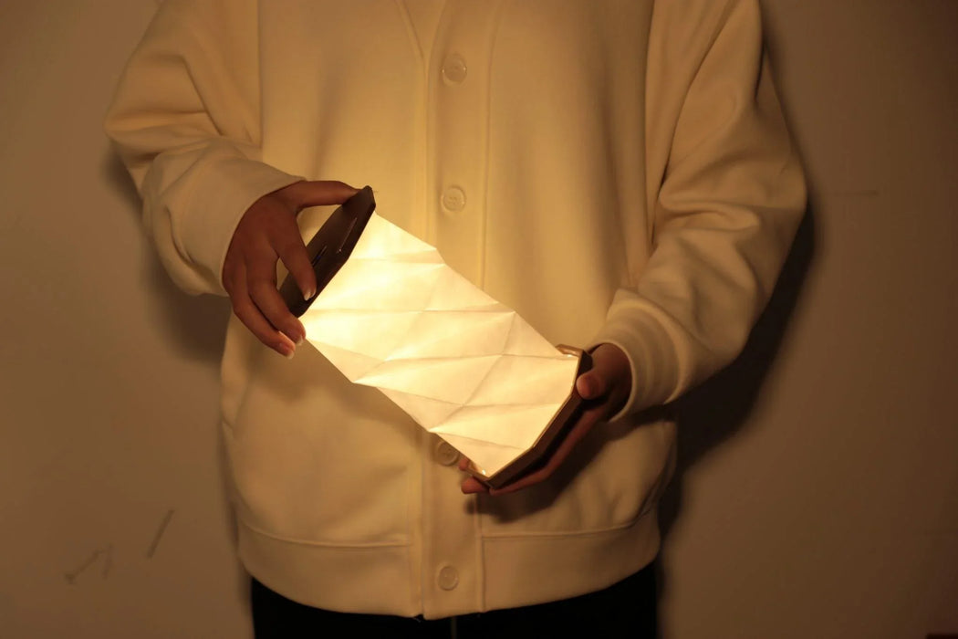 Gingko Twist Hexagon Lamp - Black