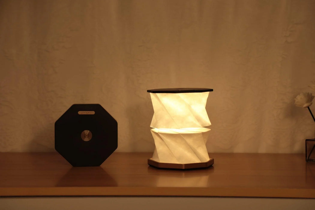 Gingko Twist Hexagon Lamp - Black
