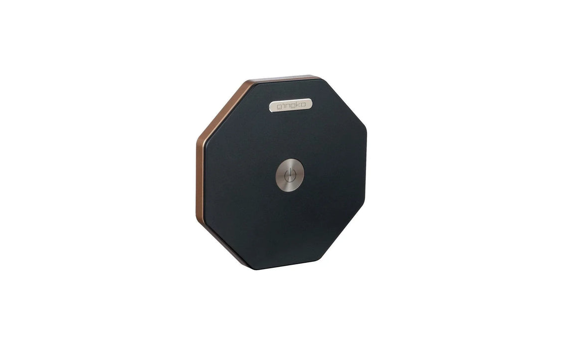 Gingko Twist Hexagon Lamp - Black
