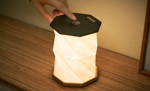Gingko Twist Hexagon Lamp - Black - LemonSalt
