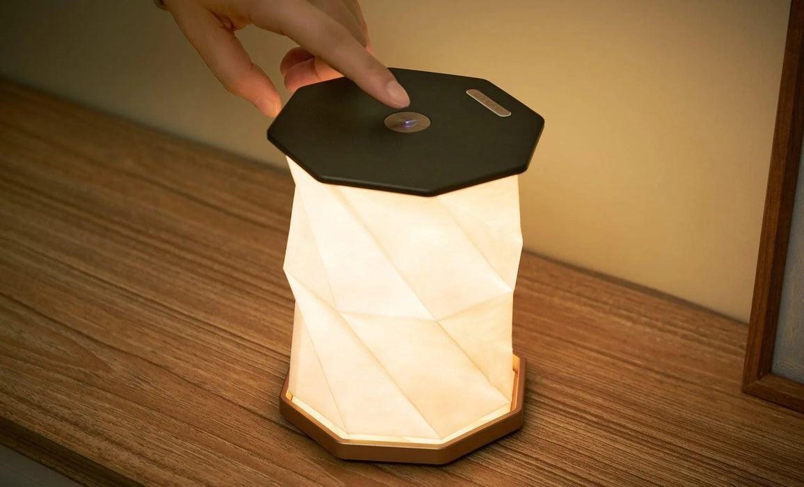Gingko Twist Hexagon Lamp - Black