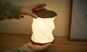 Gingko Twist Hexagon Lamp - Walnut | {{ collection.title }}
