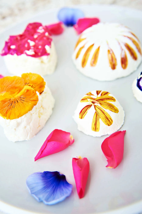 goat-s-cheese-making-kit-foodie-gift-vegetarian-gluten-free-lemonsalt-5