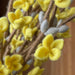 gry-and-sif-branch-golden-bell-60cm-lemonsalt-44548