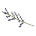 gry-and-sif-branch-with-blue-berries-60cm-lemonsalt-77167