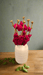 gry-and-sif-branch-with-cherise-roses-50cm-lemonsalt-30499