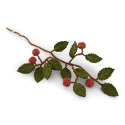 Gry & Sif Felted Wool Florals Branch With Dusty Red Apples (60cm)
