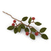 Gry & Sif Branch With Dusty Red Apples (60cm) - LemonSalt