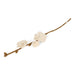 Gry & Sif Branch With White Roses (50cm) - LemonSalt