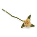 Gry & Sif Dusty Light Yellow Flowers on Branch (36cm) - LemonSalt