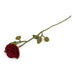 Gry & Sif Long Red Rose (60cm) - LemonSalt
