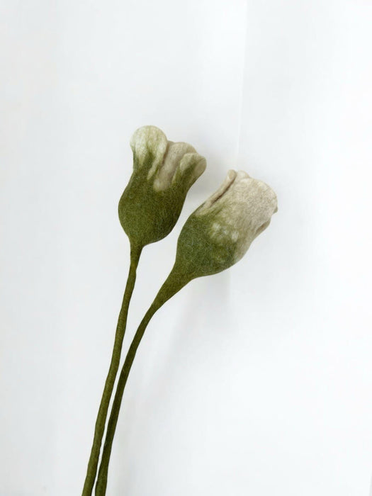gry-and-sif-tulip-white-30cm-lemonsalt-59876