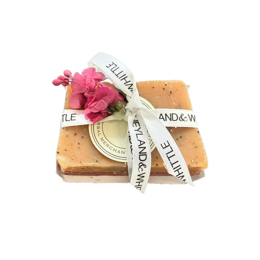 Heyland & Whittle Room Fragrance Soap Bundle - Ribbon (100g) - LemonSalt