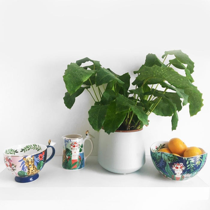 House Of Disaster Frida Kahlo Tropical Cup - LemonSalt