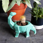House of Disaster Origami Turquoise Egg Cup