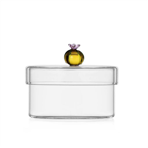 Ichendorf Milano Glass Box - Amber Cactus (10.5cm) | {{ collection.title }}