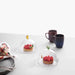 ichendorf-milano-glass-dome-with-dish-bee-and-leaf-lemonsalt-93619_bf9d7d4f-fb16-42ad-9707-6f71202e757f