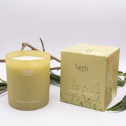Herb Dublin - Buttercup And Bee Balm Candle
