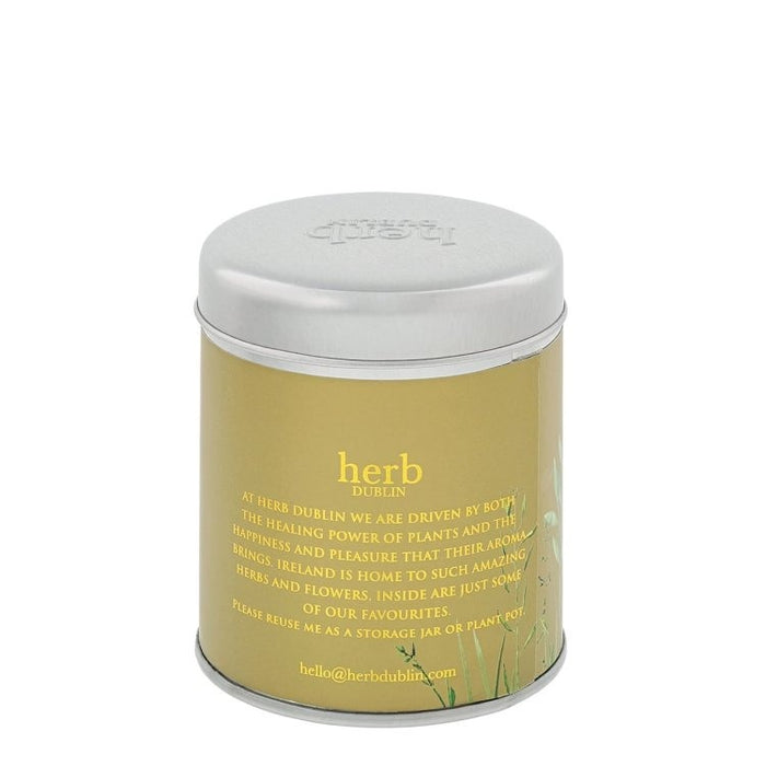 Herb Dublin - Holly Jolly Christmas Candle Tin