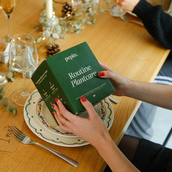 Pepin Olla - Plantcare routine