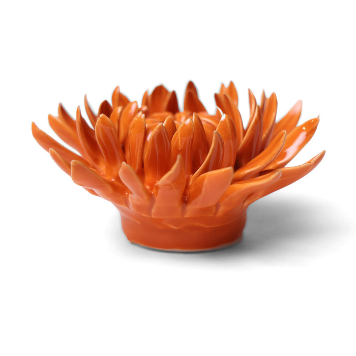 Chive English Garden Ceramic Orange Sarah Mum Flower