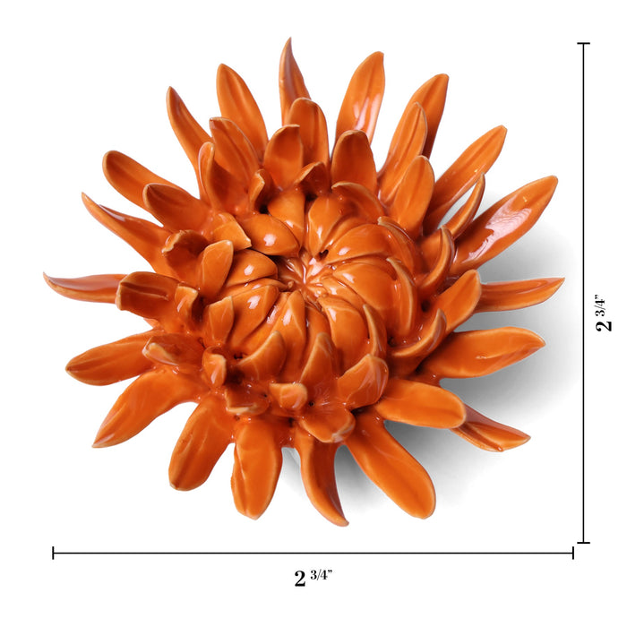 Chive English Garden Ceramic Orange Sarah Mum Flower