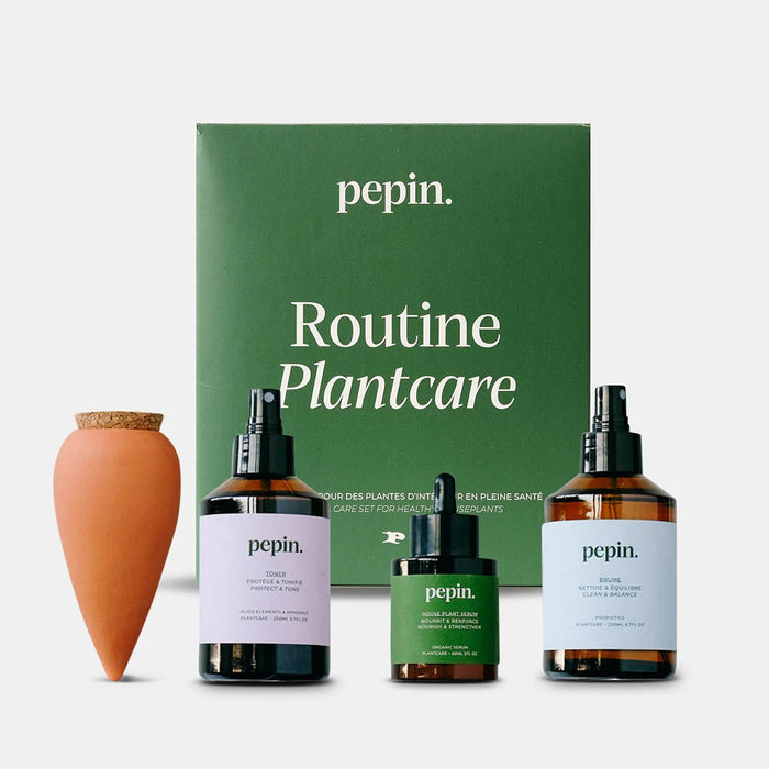 Pepin Olla - Plantcare routine