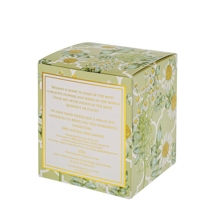irish-botanicals-candles-chamomile-and-wild-burren-lemonsalt-73519_4ebb448b-3252-4cf2-926d-6ec6beb0eb42